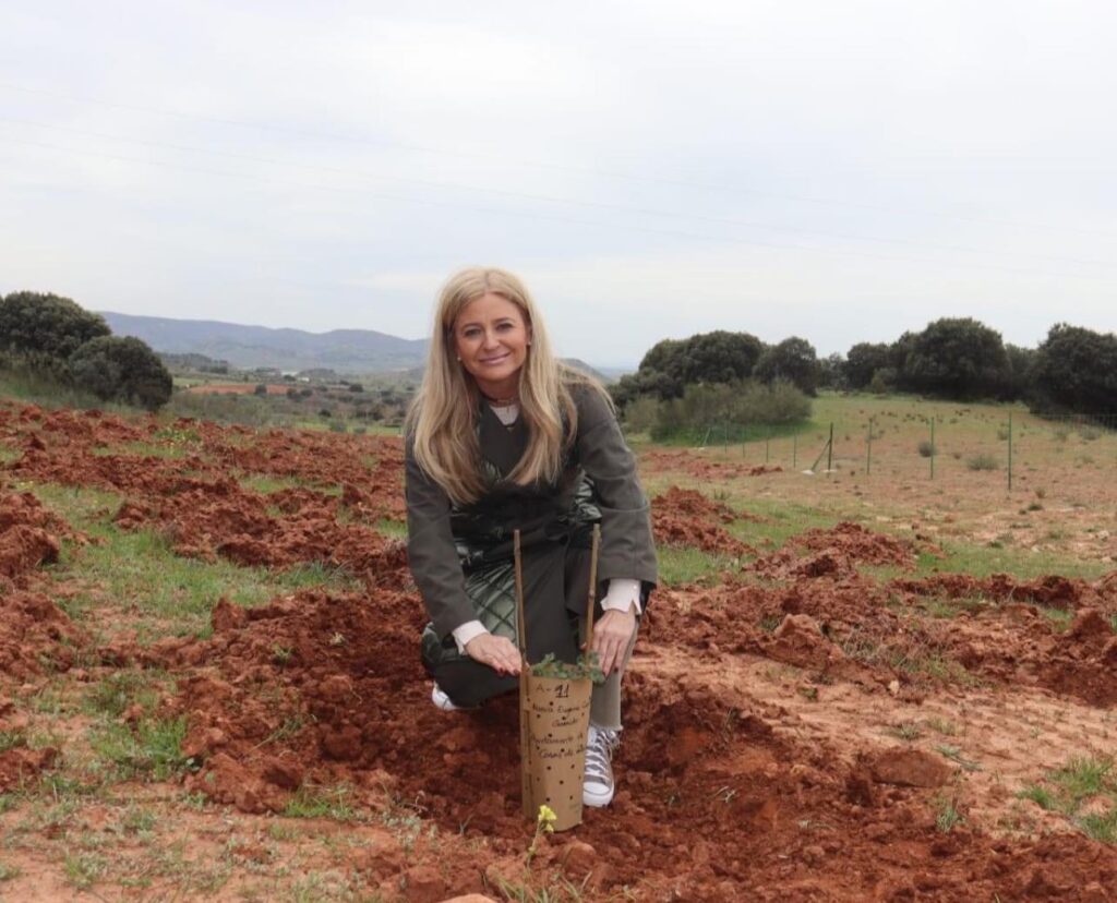 Plantando un arbol
