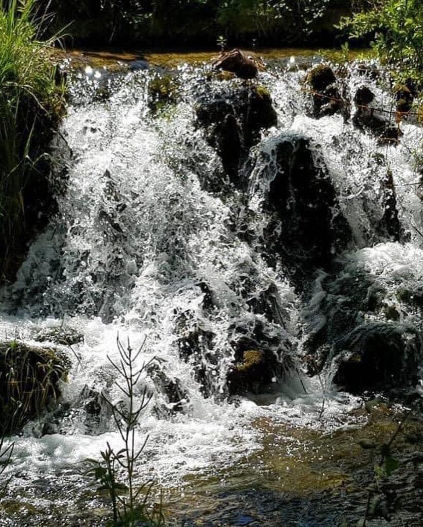 Agua