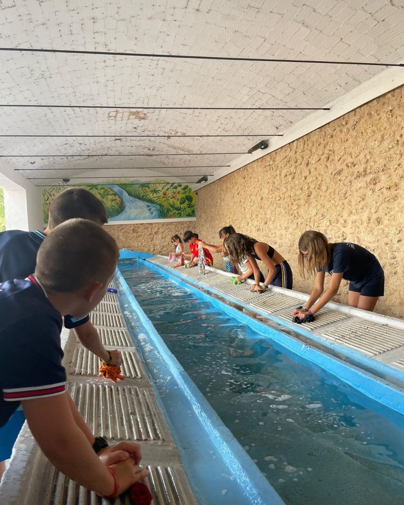 ACTIVIDAD CULTURAL, SOCIAL Y MEDIOAMBIENTAL EN LA ESCUELA DE VERANO