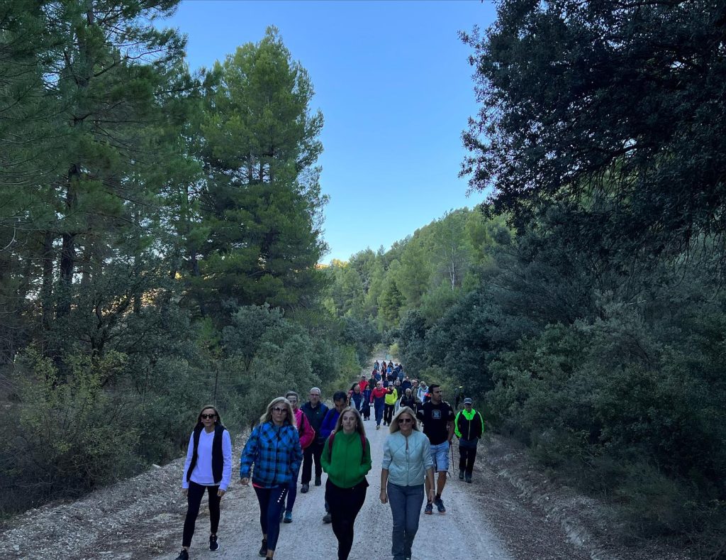 Camino