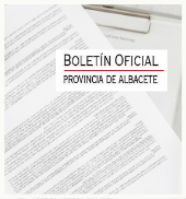 Boletín Oficial Provincial