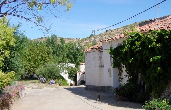 El pueblo