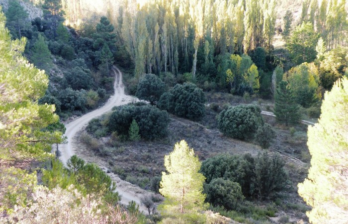 El pueblo