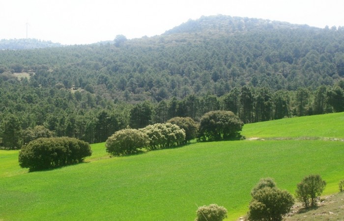 El pueblo